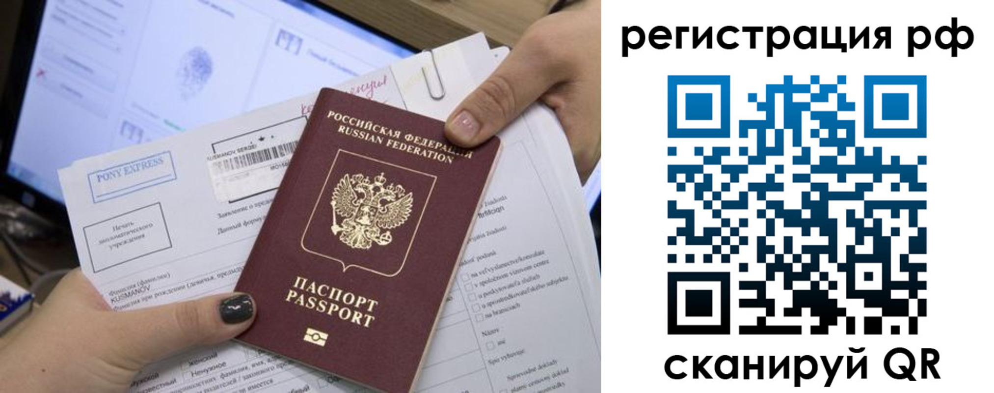 прописка гарантия в Ростовской области